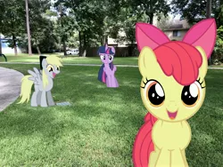 Size: 4032x3024 | Tagged: artist needed, source needed, safe, derpibooru import, apple bloom, derpy hooves, twilight sparkle, twilight sparkle (alicorn), alicorn, earth pony, pegasus, pony, close-up, confused, cute, irl, outdoors, park, photo, ponies in real life, smiling at you