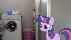 Size: 1276x717 | Tagged: safe, derpibooru import, twilight sparkle, pony, unicorn, female, food for twilight, frown, irl, mare, photo, ponies in real life, solo, washing machine