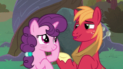 Size: 1920x1080 | Tagged: safe, derpibooru import, screencap, big macintosh, sugar belle, earth pony, pony, unicorn, the big mac question, animated, blushing, carving, cute, eeyup, engagement ring, freckles, holding hooves, jewelry, looking at each other, marriage proposal, necklace, ring, rock, smiling, sound, talking, webm