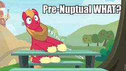 Size: 960x540 | Tagged: safe, derpibooru import, edit, edited screencap, screencap, big macintosh, earth pony, pony, the big mac question, apple, apple tree, caption, food, image macro, male, misspelling, picnic table, solo, stallion, table, text, tree