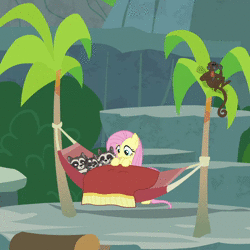Size: 900x900 | Tagged: safe, derpibooru import, screencap, apple bloom, fluttershy, monkey, pegasus, pony, raccoon, spider monkey, the big mac question, animated, cropped, female, hammock, mare, palm tree, scared, screaming, sound, startled, tree, webm