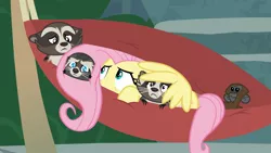 Size: 1920x1080 | Tagged: safe, derpibooru import, screencap, fluttershy, smoky, smoky jr., softpad, monkey, pegasus, pony, raccoon, spider monkey, the big mac question, female, hammock, hiding, mare, scared