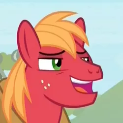 Size: 418x418 | Tagged: safe, derpibooru import, screencap, big macintosh, earth pony, pony, the big mac question, cropped, laughing, leering, lidded eyes, male, open mouth, solo, stallion