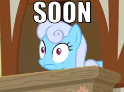 Size: 412x307 | Tagged: safe, derpibooru import, edit, edited screencap, screencap, linky, shoeshine, pony, the big mac question, cropped, female, mare, meme, scared, shoeshine's window, solo, soon