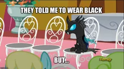 Size: 888x499 | Tagged: safe, derpibooru import, edit, edited screencap, screencap, daisy, flower wishes, kevin (changeling), sassaflash, changeling, earth pony, pegasus, pony, slice of life (episode), caption, discovery family logo, female, funny, image macro, impact font, male, mare, meme, solo focus, text