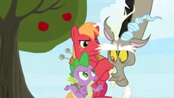 Size: 1600x900 | Tagged: safe, derpibooru import, screencap, big macintosh, discord, spike, dragon, the big mac question, apple, apple tree, food, pointing, tree, unamused, winged spike