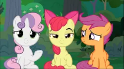 Size: 1671x939 | Tagged: safe, derpibooru import, screencap, apple bloom, scootaloo, sweetie belle, earth pony, pegasus, pony, unicorn, the big mac question, bow, cropped, cutie mark crusaders, female, filly, hair bow, lidded eyes, looking at you, raised hoof, sitting, smiling, smirk, smug, trio