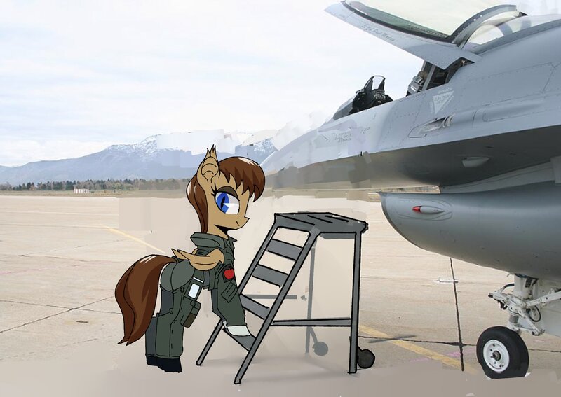 Size: 2456x1740 | Tagged: safe, artist:ivyredmond, derpibooru import, oc, oc:lunette, bat pony, pony, aircraft, f-16, f-16 fighting falcon, irl, photo, ponies in real life, solo