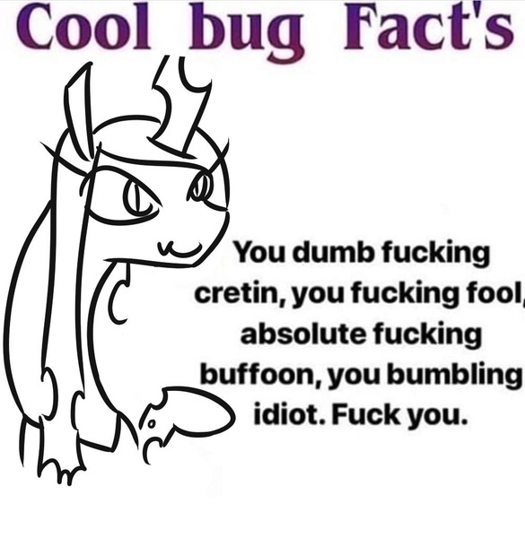 Size: 998x1024 | Tagged: artist:jargon scott, changeling, changeling queen, cool bug facts, derpibooru import, facts, female, fuck you, grammar error, idiot, insult, meme, ponified meme, queen chrysalis, safe, solo, vulgar, you