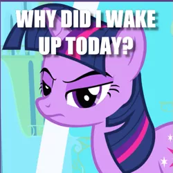 Size: 501x501 | Tagged: safe, derpibooru import, edit, edited screencap, screencap, twilight sparkle, pony, unicorn, friendship is magic, caption, cropped, eyeshadow, female, frown, glare, grumpy, grumpy twilight, image macro, lidded eyes, looking at you, makeup, mare, solo, text, tired, twilight's canterlot home, unicorn twilight