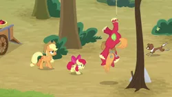 Size: 1920x1080 | Tagged: safe, derpibooru import, screencap, apple bloom, applejack, big macintosh, winona, dog, pony, going to seed, apple, apple tree, food, hanging, hanging upside down, snare trap, tree, upside down, wagon