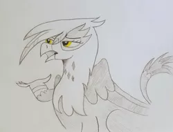 Size: 1023x781 | Tagged: safe, artist:polar_storm, derpibooru import, gilda, gryphon, simple background, sketch, sketch dump, solo, traditional art, white background, yellow eyes