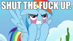 Size: 1920x1080 | Tagged: angry, caption, derpibooru import, edit, edited screencap, eyelid pull, frustrated, image macro, rainbow dash, safe, screencap, shut the fuck up, shut up, stfu, text, the last problem, vulgar