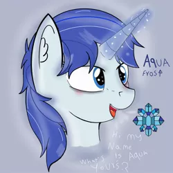 Size: 2500x2500 | Tagged: safe, artist:paperlover, derpibooru import, oc, oc:aqua frost, unofficial characters only, pony, unicorn, blushing, bust, cutie mark, dialogue, ear fluff, female, magic, magic aura, mare, reference sheet, solo