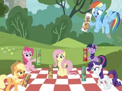 Size: 1024x768 | Tagged: safe, derpibooru import, applejack, fluttershy, pinkie pie, rainbow dash, rarity, twilight sparkle, twilight sparkle (alicorn), alicorn, pony, chips, food, mane six, picnic, ponyville, potato chips, pringles, product placement