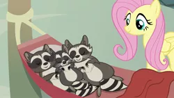 Size: 1920x1080 | Tagged: safe, derpibooru import, screencap, fluttershy, smoky, smoky jr., softpad, pegasus, pony, raccoon, the big mac question, caretaker, claws, cute, eyes closed, family, father and child, father and son, female, folded wings, hammock, male, mare, mother and child, mother and son, pleased, sleeping, smiling, son, wings