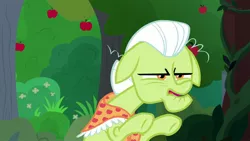 Size: 1920x1080 | Tagged: safe, derpibooru import, screencap, granny smith, earth pony, pony, the big mac question, apple, apple tree, clothes, female, food, mare, scarf, solo, tree