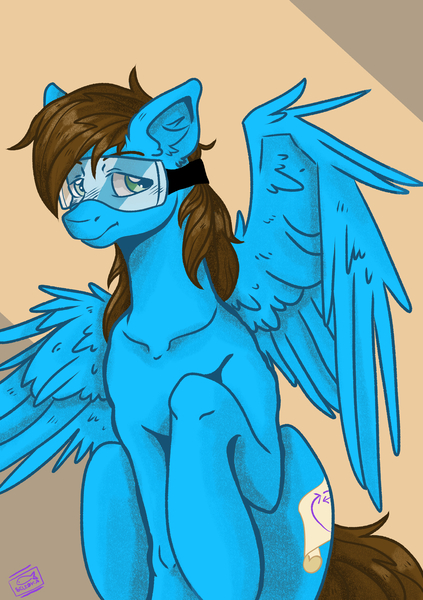 Size: 2039x2894 | Tagged: safe, artist:seledka, derpibooru import, oc, oc:blue scroll, pegasus, pony, goggles, male, sitting