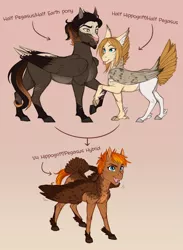 Size: 2723x3719 | Tagged: safe, artist:askbubblelee, derpibooru import, oc, oc:dove (askbubblelee), oc:singe, oc:smokescreen, hippogriff, hybrid, pegasus, pony, :p, bald face, colt, digital art, family, feathered fetlocks, female, freckles, male, mare, parent, simple background, smiling, stallion, tail feathers, tongue out