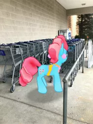 Size: 3024x4032 | Tagged: safe, derpibooru import, photographer:undeadponysoldier, cup cake, earth pony, pony, augmented reality, female, gameloft, irl, mare, photo, ponies in real life, shopping cart, solo