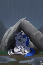 Size: 2000x3000 | Tagged: safe, artist:shrineheart, derpibooru import, oc, earth pony, zebra, fallout equestria, fallout equestria: all that remains, fanfic art, kissing, rain, zebra oc