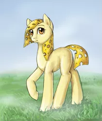 Size: 475x565 | Tagged: safe, artist:170th, derpibooru import, oc, ponified, food pony, original species, pony, cheese, cheese pony, food, grass, image, looking at you, orange eyes, png, solo