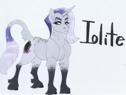 Size: 3831x2881 | Tagged: safe, artist:frozensoulpony, derpibooru import, oc, oc:iolite pie, pony, unicorn, male, offspring, parent:maud pie, parent:mud briar, parents:maudbriar, solo, stallion, traditional art