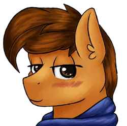 Size: 2016x2000 | Tagged: safe, artist:sevenserenity, derpibooru import, oc, oc:toanderic, unofficial characters only, pegasus, pony, birthday, blushing, bust, clothes, looking at you, portrait, scarf