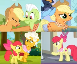 Size: 1463x1215 | Tagged: safe, derpibooru import, edit, screencap, apple bloom, applejack, goldie delicious, granny smith, rainbow dash, earth pony, pony, going to seed, the last problem, apple, clothes, cropped, food, goldie delicious' scarf, granny smith's scarf, implied death, older, older apple bloom, older applejack