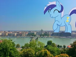 Size: 3264x2448 | Tagged: safe, derpibooru import, minuette, pony, budapest, building, city, female, giant pony, giantess, highrise ponies, hungary, irl, macro, photo, ponies in real life