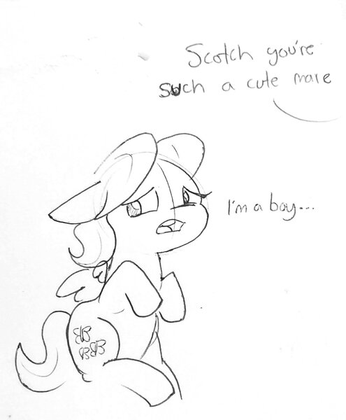 Size: 1150x1394 | Tagged: safe, artist:tjpones, derpibooru import, fluttershy, pegasus, pony, adorascotch, black and white, butterscotch, cute, dialogue, femboy, floppy ears, grayscale, male, mistaken gender, monochrome, offscreen character, rule 63, rule63betes, solo, stallion, trap