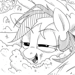 Size: 1440x1440 | Tagged: safe, artist:docwario, derpibooru import, rainbow dash, pegasus, pony, awesome, crash, crash landing, dashtober, female, mare, monochrome, open mouth, rainbow crash, sketch, solo, text