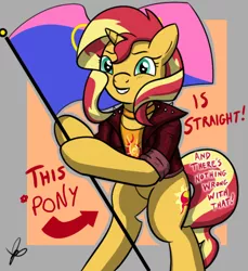 Size: 550x600 | Tagged: safe, artist:gamedevanon, artist:thedrizzle404, derpibooru import, edit, sunset shimmer, pony, unicorn, arrow, bipedal, choker, clothes, female, flag, flag pole, grin, hoof hold, jacket, jewelry, leather jacket, looking at you, mare, meme, pride, pride flag, signature, smiling, solo, squee, standing upright, straight pride, straight pride flag, text, this cat is gay and there's nothing you can do about it