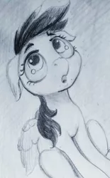 Size: 1877x3034 | Tagged: safe, artist:ponsce, derpibooru import, rainbow dash, pony, floppy ears, monochrome, solo, traditional art