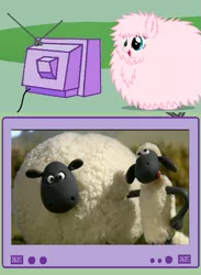 Size: 563x771 | Tagged: safe, derpibooru import, oc, oc:fluffle puff, unofficial characters only, pony, sheep, exploitable meme, meme, obligatory pony, shaun the sheep, shirley (shaun the sheep), tv meme