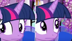 Size: 496x285 | Tagged: safe, artist:no-name-blog-scree, derpibooru import, princess luna, twilight sparkle, twilight sparkle (alicorn), alicorn, pony, :|, bust, lavender, meme, monkey puppet, ponified meme, portrait, shifty eyes, solo focus