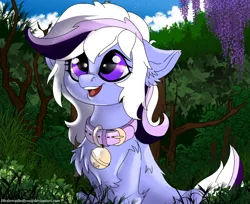 Size: 1920x1563 | Tagged: safe, artist:brainiac, derpibooru import, oc, oc:whiskey lullaby, unofficial characters only, cat, cat pony, original species, pony, bell, bell collar, cat bell, chest fluff, collar, cute, female, mare, ocbetes, pet play, solo