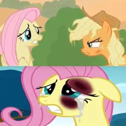 Size: 768x768 | Tagged: safe, derpibooru import, edit, edited screencap, screencap, applejack, fluttershy, earth pony, pegasus, pony, hurricane fluttershy, sounds of silence, 1000 hours in ms paint, abuse, abuse edit, angry, background pony strikes again, bad edit, black eye, bruised, cropped, downvote bait, drama bait, eye contact, female, flutterbuse, go to sleep gladmane, looking at each other, mare, op started shit, out of character, why, wings