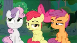 Size: 1667x940 | Tagged: safe, derpibooru import, screencap, apple bloom, scootaloo, sweetie belle, earth pony, pegasus, pony, unicorn, the big mac question, bow, cropped, cutie mark crusaders, female, filly, glare, hair bow, lidded eyes, raised hoof, sitting, smiling, smirk, varying degrees of amusement