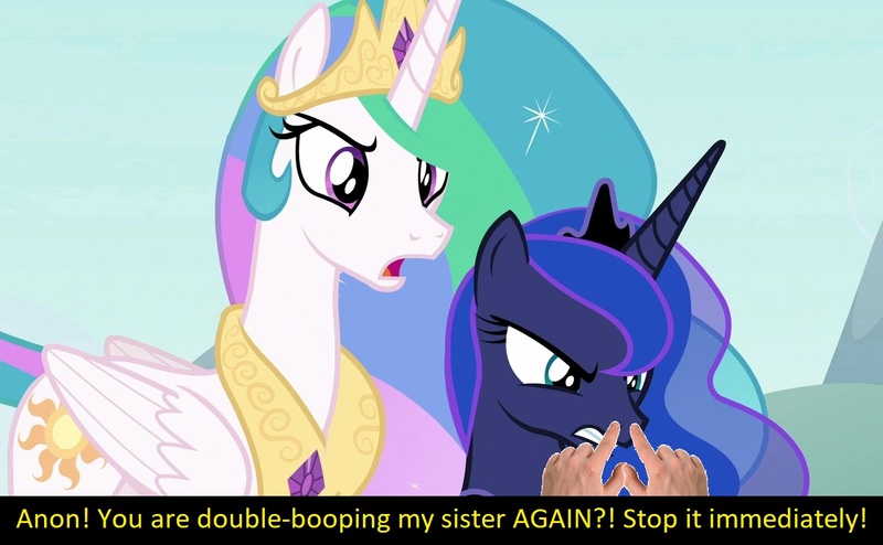 Size: 1280x791 | Tagged: angry, boop, boop edit, bronybait, caption, cute, derpibooru import, double boop, edit, edited screencap, hand, human, meta, non-consensual booping, oc, oc:anon, princess celestia, princess luna, royal sisters, safe, screencap, the ending of the end