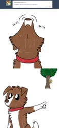 Size: 800x1718 | Tagged: safe, artist:askwinonadog, derpibooru import, applejack, winona, dog, ask winona, apple, apple tree, ask, comic, duo, food, hiding, pointing, simple background, sniffing, tree, tumblr, white background