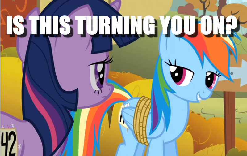 Size: 1024x645 | Tagged: suggestive, derpibooru import, edit, edited screencap, screencap, rainbow dash, twilight sparkle, fall weather friends, bedroom eyes, bound wings, caption, cropped, female, image macro, implied bondage, lesbian, shipping, text, twidash, twilight is not amused, unamused, wings