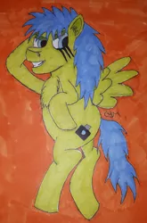 Size: 1060x1603 | Tagged: safe, artist:rapidsnap, derpibooru import, oc, oc:rapidsnap, unofficial characters only, pony, chest fluff, fluffy, solo, traditional art