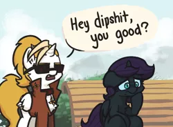 Size: 528x389 | Tagged: safe, artist:plunger, derpibooru import, oc, oc:dyx, oc:nyx, unofficial characters only, alicorn, pony, alicorn oc, bench, clothes, dialogue, duo, female, filly, horn, siblings, sisters, sunglasses, vulgar, wings