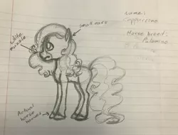 Size: 3559x2704 | Tagged: safe, artist:littlemissyxdl, derpibooru import, oc, oc:cappuccino, unofficial characters only, earth pony, pony, female, lined paper, mare, monochrome, sketch, solo, traditional art