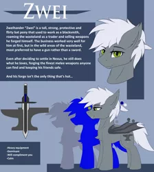 Size: 3500x3900 | Tagged: suggestive, artist:snowstormbat, derpibooru import, oc, oc:zweihander, bat pony, pony, hazel eyes, image, male, png, reference sheet, solo, solo male