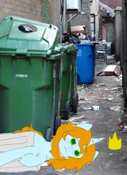 Size: 1068x1467 | Tagged: safe, artist:drunken bubblez, deleted from derpibooru, derpibooru import, oc, unofficial characters only, pony, unicorn, alley, homeless, irl, male, photo, sad, solo, stallion, trash, trash can