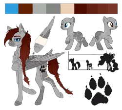 Size: 1000x899 | Tagged: safe, artist:clarissa0210, derpibooru import, oc, oc:silver storm, pony, female, mare, reference sheet, solo