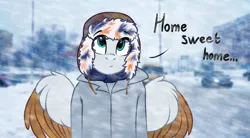 Size: 3500x1928 | Tagged: anthro, anthro oc, artist:airfly-pony, clothes, coat, derpibooru import, hat, oc, oc:scarlett drop, pegasus, safe, scarf, solo, unofficial characters only