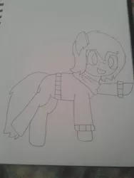 Size: 1932x2576 | Tagged: safe, artist:derpy_the_duck, derpibooru import, oc, oc:derp, unofficial characters only, earth pony, pony, clothes, solo, traditional art